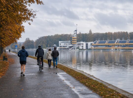 Ścieżka wzdłuż brzegu Jeziora Maltańskiego w Poznaniu jesienią, z drzewami w jesiennych kolorach