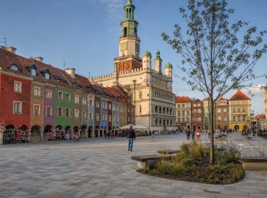 Płyta Starego Rynku w Poznaniu z nową granitową kostką, latarniami i wyspami zieleni przy ratuszu