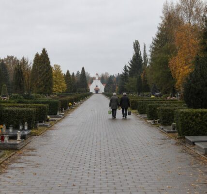 Aleja Cmentarza Junikowo w Poznaniu jesienią, rzędy grobów i drzewa w tle, spokojna listopadowa sceneria
