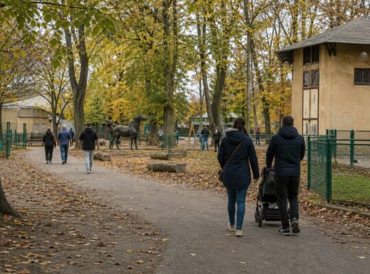 Alejka Starego ZOO w Poznaniu jesienią, po lewej zabytkowa woliera, w tle stare drzewa i spacerowicze